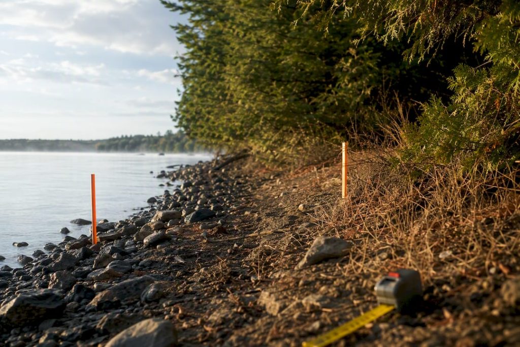 Survey stakes marking Ontario shoreline allowance