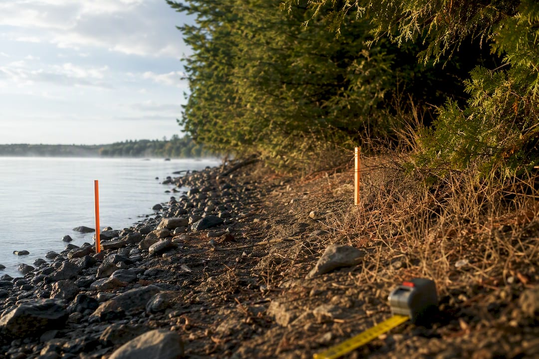 Survey stakes marking Ontario shoreline allowance
