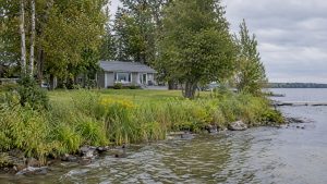 Cottage set back behind Lake Simcoe shoreline vegetation